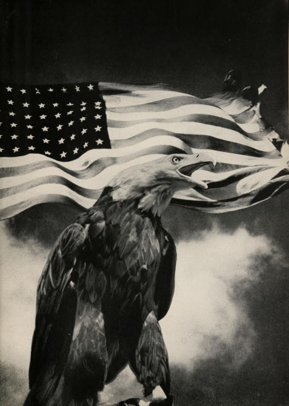 1942 eagle.jpg
