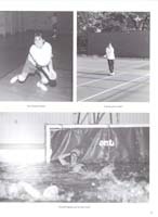 http://yearbook.sfc.edu/omeka/files/1997/Thumbnails/JPEG/YB1997_Part20.jpg