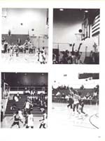 http://yearbook.sfc.edu/omeka/files/1987/Thumbnails/JPEG/YB1987_Part82.jpg