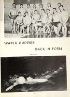 http://yearbook.sfc.edu/omeka/files/1965/Thumbnails/JPEG/YB1965_Part55.jpg