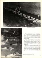 http://yearbook.sfc.edu/omeka/files/1966/Thumbnails/JPEG/YB1966_Part38.jpg