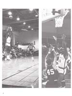 http://yearbook.sfc.edu/omeka/files/1982/Thumbnails/JPEG/YB1982_Part34.jpg