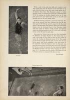 http://yearbook.sfc.edu/omeka/files/1938/Thumbnails/JPEG/YB1938_Part55.jpg