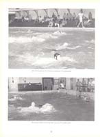 http://yearbook.sfc.edu/omeka/files/1967/Thumbnails/JPEG/YB1967_Part37.jpg