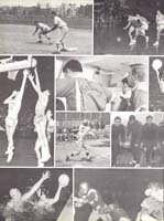 http://yearbook.sfc.edu/omeka/files/1968/Thumbnails/JPEG/YB1968_Part85.jpg