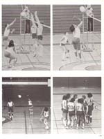 http://yearbook.sfc.edu/omeka/files/1984/Thumbnails/JPEG/YB1984_Part58.jpg