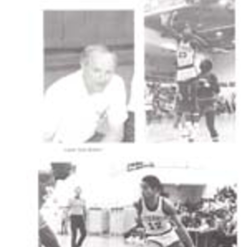 http://yearbook.sfc.edu/omeka/files/1981/Thumbnails/JPEG/YB1981_Part35.jpg