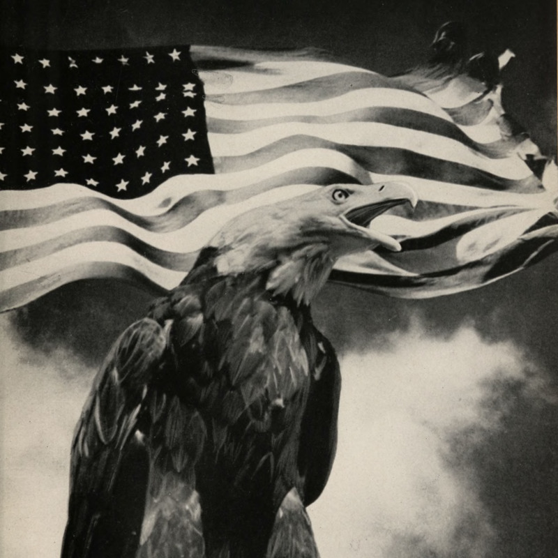 1942 eagle.jpg