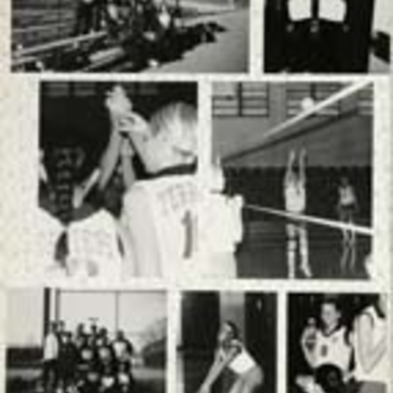 http://yearbook.sfc.edu/omeka/files/2003/Thumbnails/JPEG/YB2003_Part41.jpg