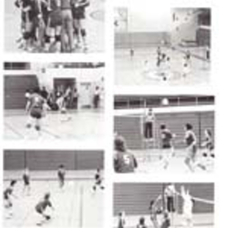 http://yearbook.sfc.edu/omeka/files/1985/Thumbnails/JPEG/YB1985_Part82.jpg