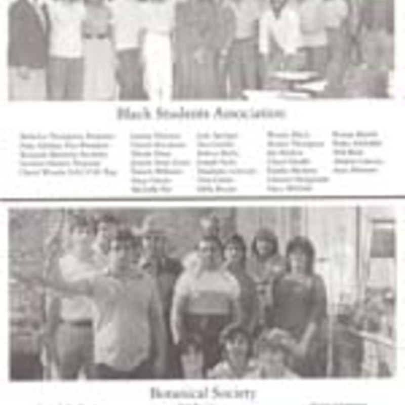 http://yearbook.sfc.edu/omeka/files/1984/Thumbnails/JPEG/YB1984_Part42.jpg