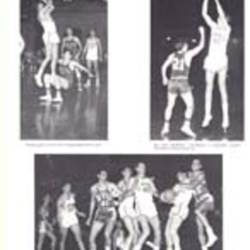 http://yearbook.sfc.edu/omeka/files/1967/Thumbnails/JPEG/YB1967_Part42.jpg