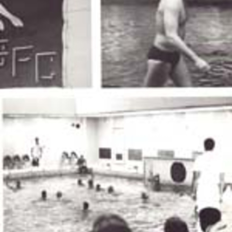 http://yearbook.sfc.edu/omeka/files/1984/Thumbnails/JPEG/YB1984_Part53.jpg