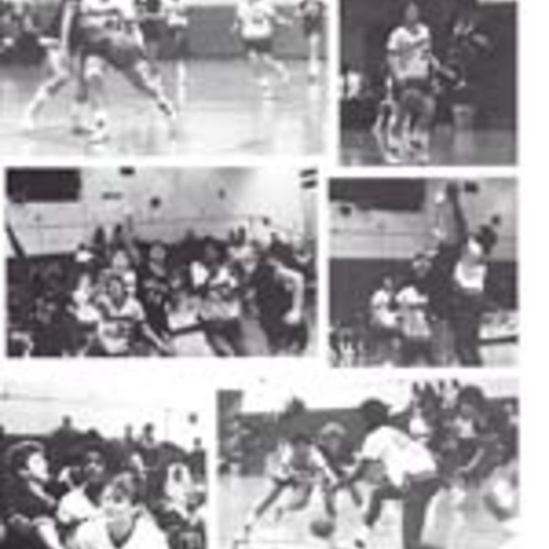 http://yearbook.sfc.edu/omeka/files/1988/Thumbnails/JPEG/YB1988_Part78.jpg