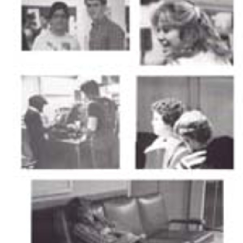 http://yearbook.sfc.edu/omeka/files/1982/Thumbnails/JPEG/YB1982_Part84.jpg