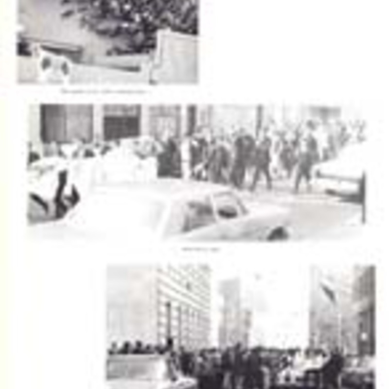 http://yearbook.sfc.edu/omeka/files/1967/Thumbnails/JPEG/YB1967_Part91.jpg