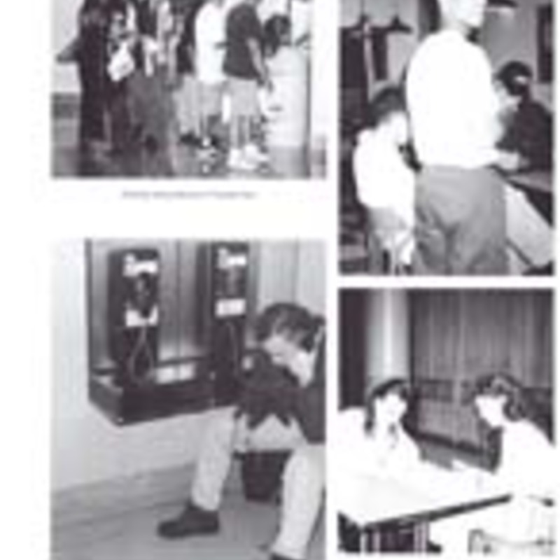 http://yearbook.sfc.edu/omeka/files/1996/Thumbnails/JPEG/YB1996_Part43.jpg