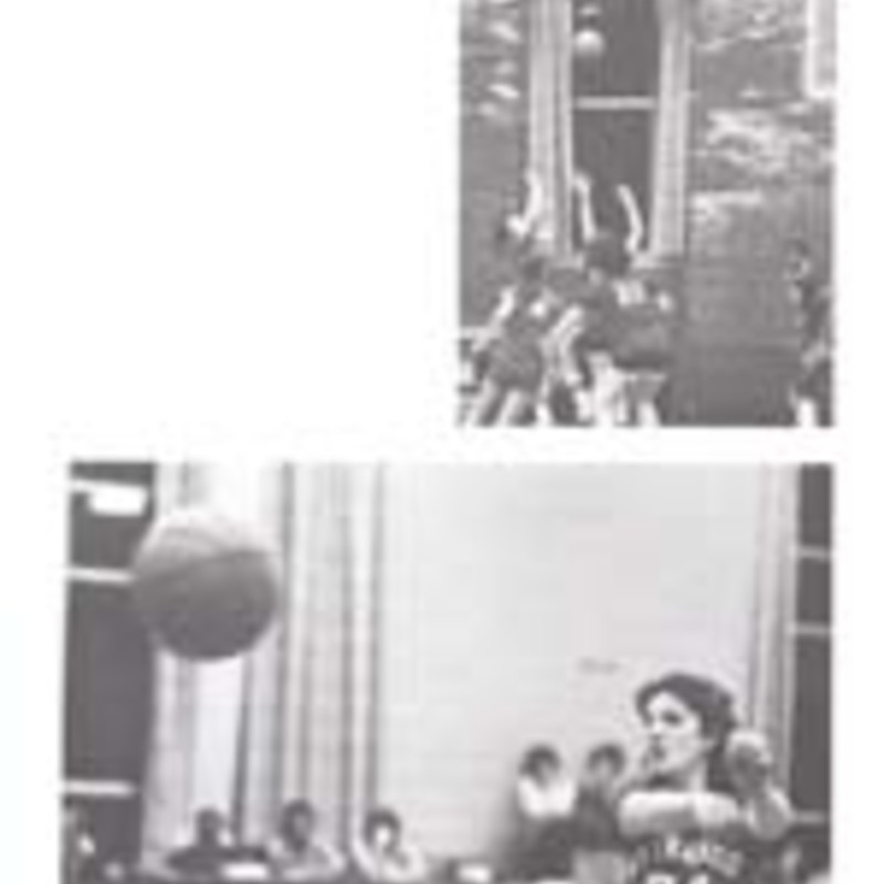 http://yearbook.sfc.edu/omeka/files/1982/Thumbnails/JPEG/YB1982_Part37.jpg