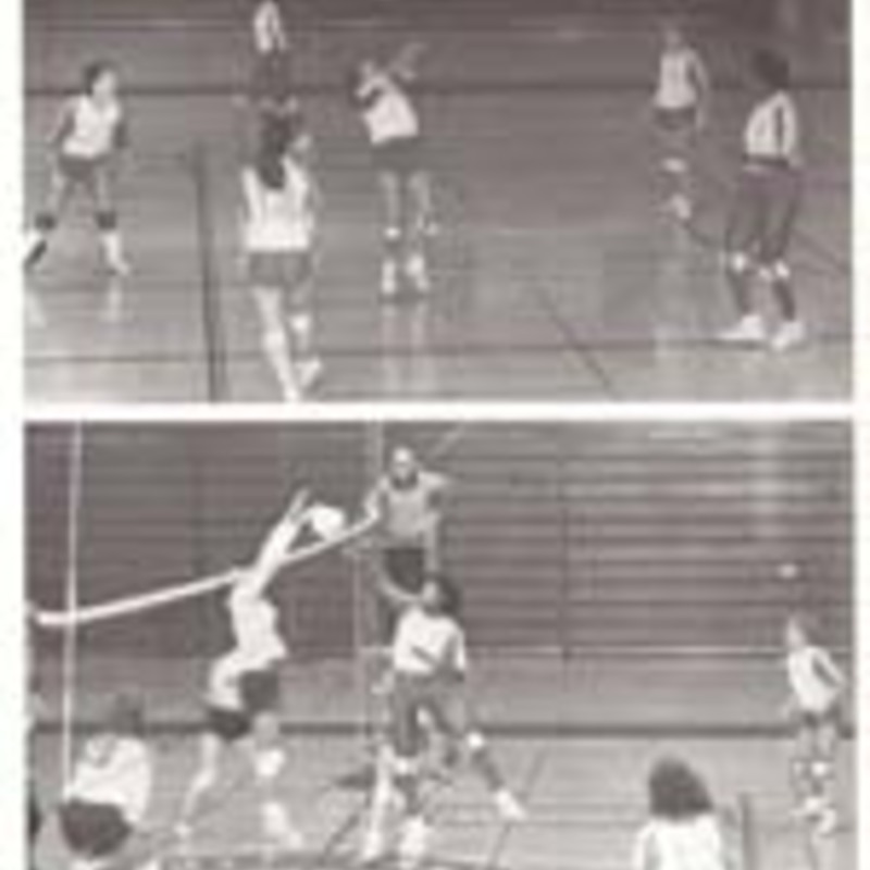 http://yearbook.sfc.edu/omeka/files/1984/Thumbnails/JPEG/YB1984_Part59.jpg