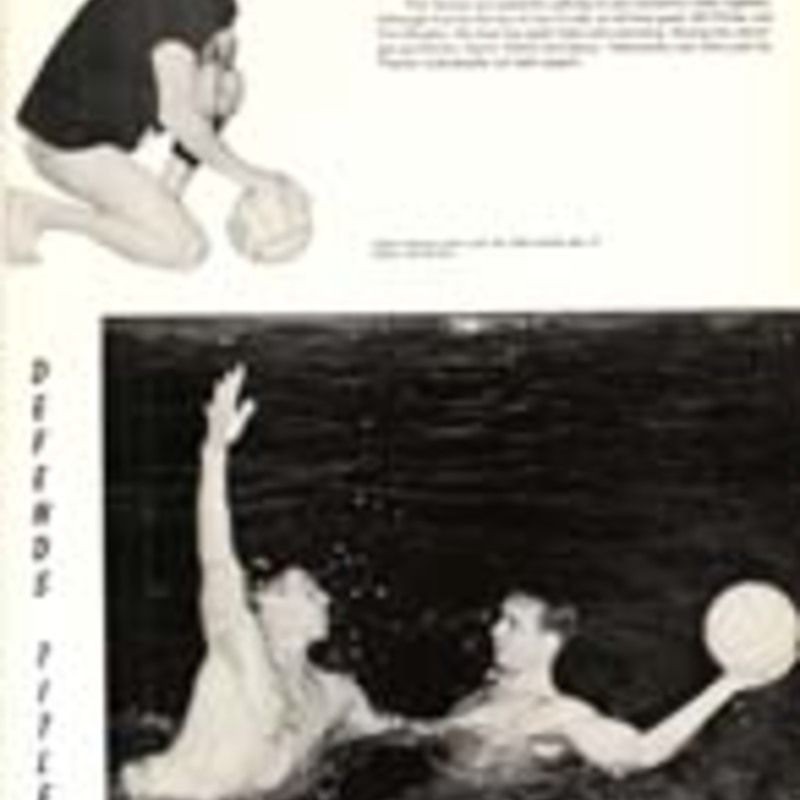 http://yearbook.sfc.edu/omeka/files/1966/Thumbnails/JPEG/YB1966_Part37.jpg