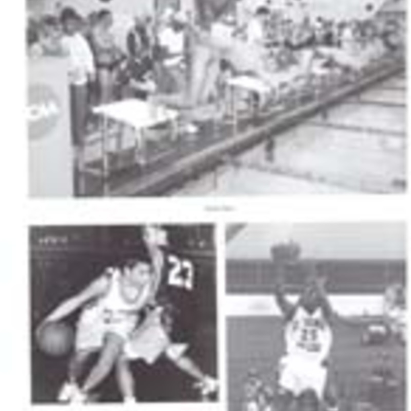 http://yearbook.sfc.edu/omeka/files/1998/Thumbnails/JPEG/YB1998_Part24.jpg