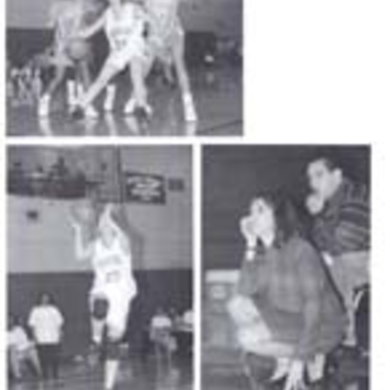 http://yearbook.sfc.edu/omeka/files/1995/Thumbnails/JPEG/YB1995_Part51.jpg