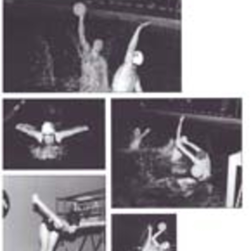 http://yearbook.sfc.edu/omeka/files/1999/Thumbnails/JPEG/YB1999_Part59.jpg