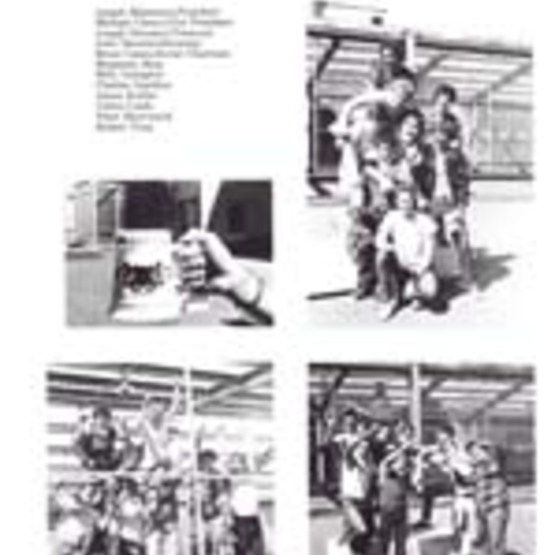 http://yearbook.sfc.edu/omeka/files/1981/Thumbnails/JPEG/YB1981_Part48.jpg