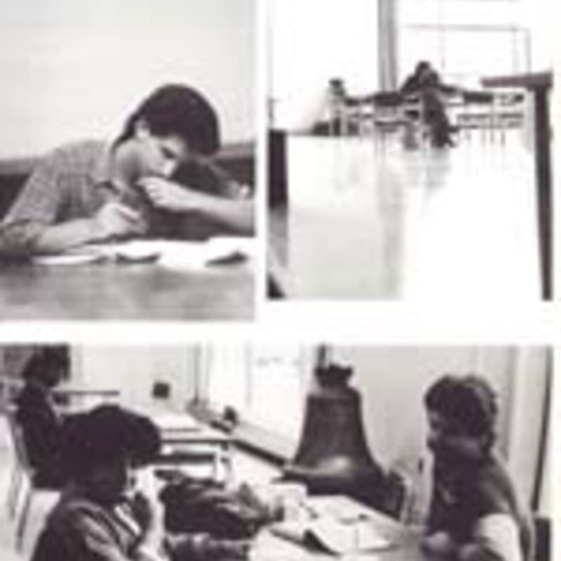 http://yearbook.sfc.edu/omeka/files/1984/Thumbnails/JPEG/YB1984_Part81.jpg