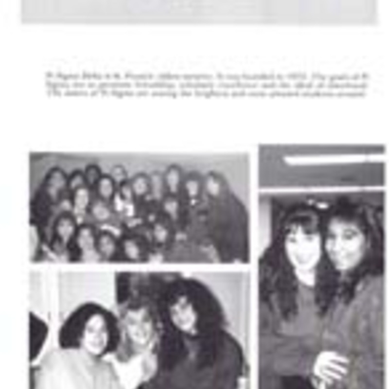 http://yearbook.sfc.edu/omeka/files/1993/Thumbnails/JPEG/YB1993_Part30.jpg