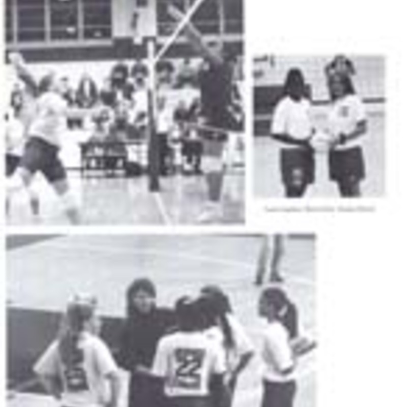 http://yearbook.sfc.edu/omeka/files/1995/Thumbnails/JPEG/YB1995_Part54.jpg