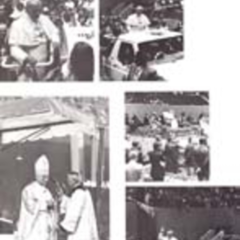 http://yearbook.sfc.edu/omeka/files/1980/Thumbnails/JPEG/YB1980_Part89.jpg