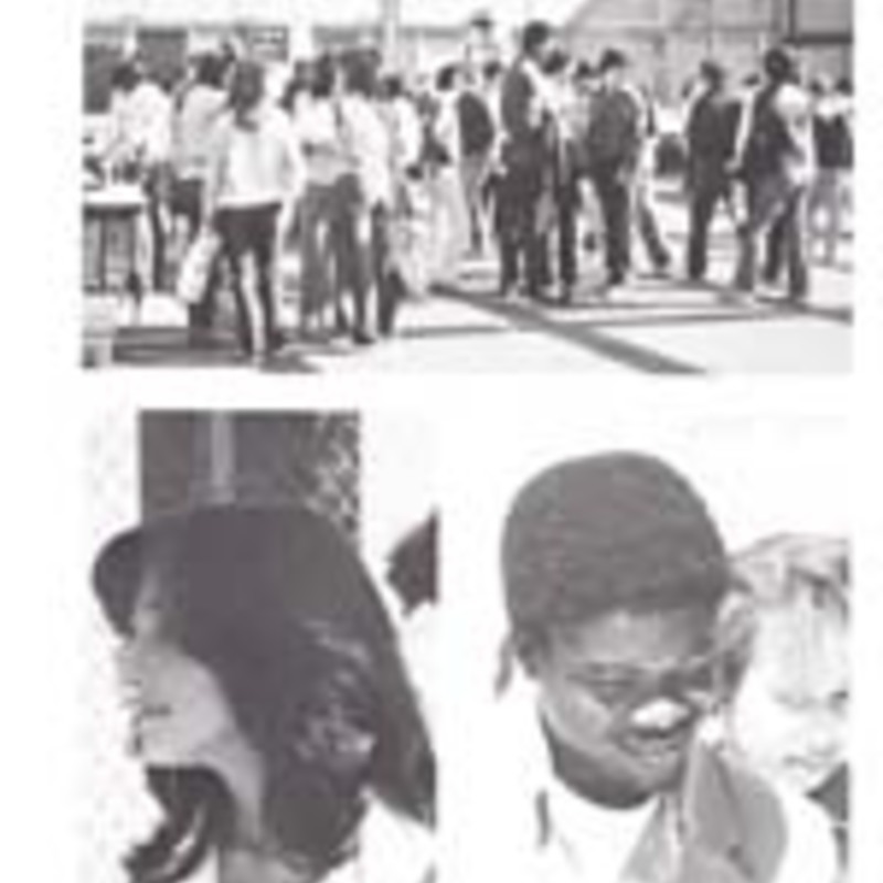 http://yearbook.sfc.edu/omeka/files/1982/Thumbnails/JPEG/YB1982_Part67.jpg