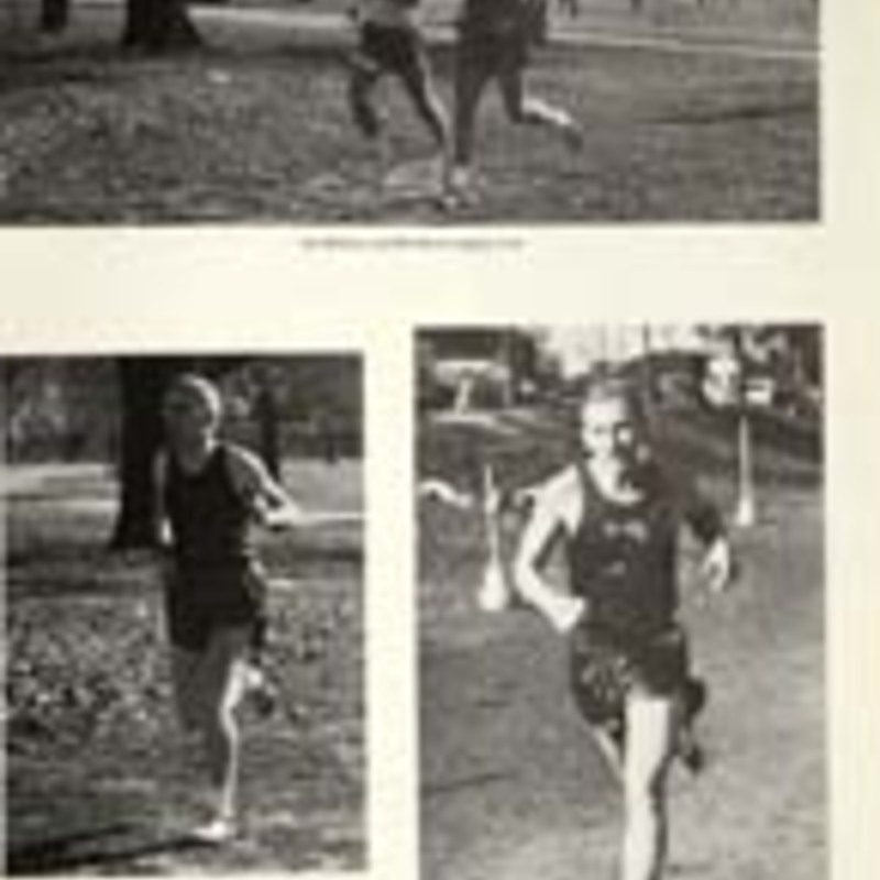 http://yearbook.sfc.edu/omeka/files/1965/Thumbnails/JPEG/YB1965_Part54.jpg