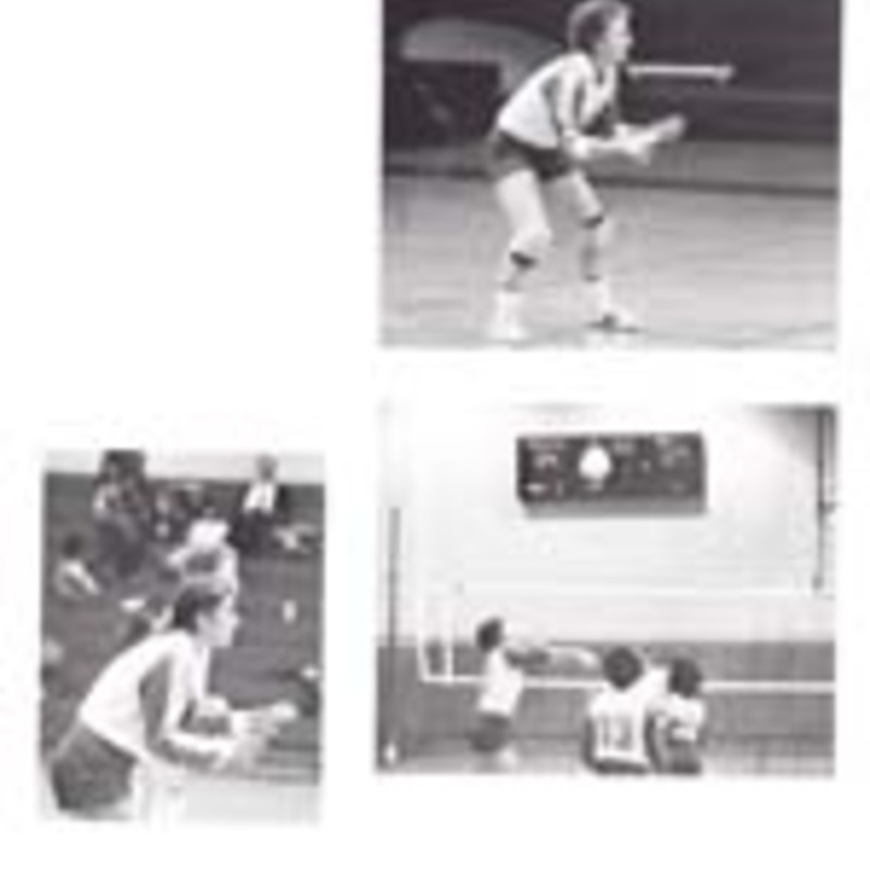 http://yearbook.sfc.edu/omeka/files/1982/Thumbnails/JPEG/YB1982_Part30.jpg