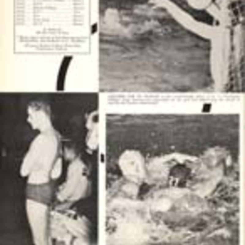 http://yearbook.sfc.edu/omeka/files/1961/Thumbnails/JPEG/YB1961_Part91.jpg