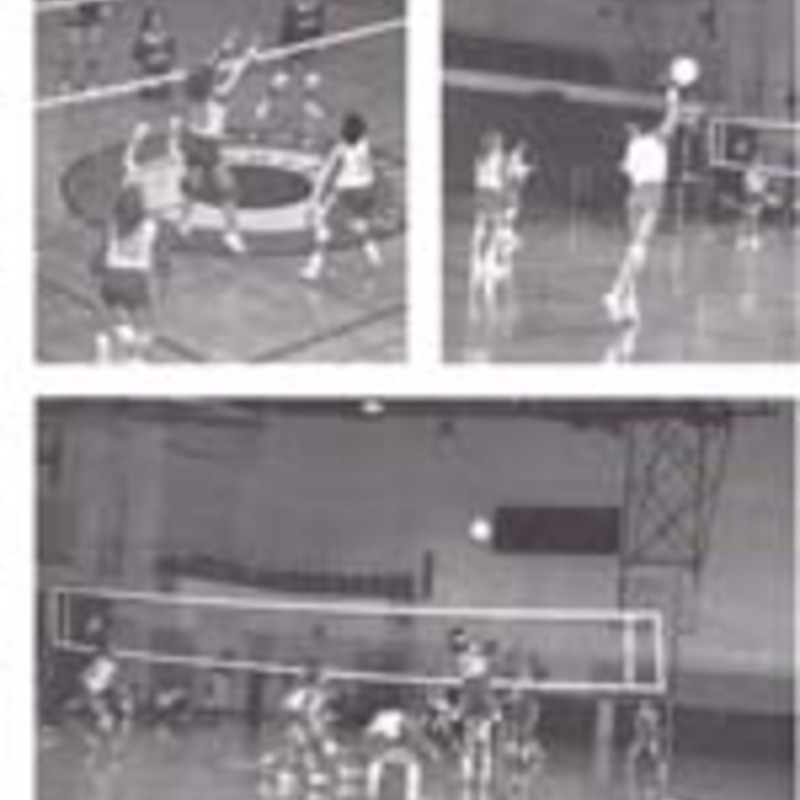 http://yearbook.sfc.edu/omeka/files/1983/Thumbnails/JPEG/YB1983_Part72.jpg