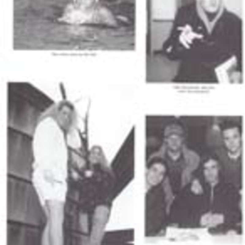 http://yearbook.sfc.edu/omeka/files/1994/Thumbnails/JPEG/YB1994_Part56.jpg