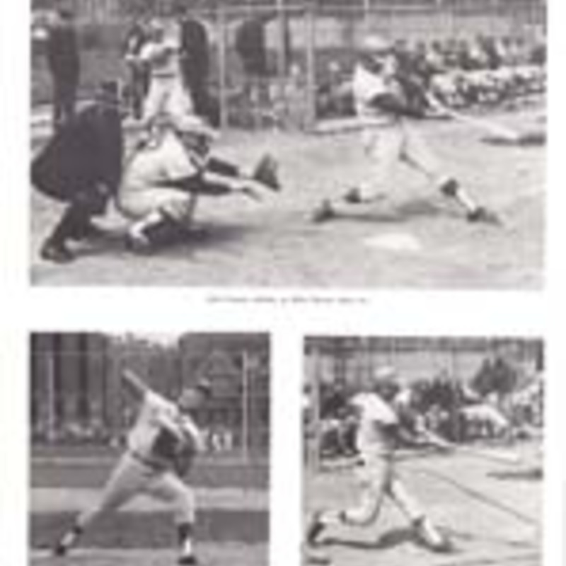 http://yearbook.sfc.edu/omeka/files/1968/Thumbnails/JPEG/YB1968_Part89.jpg