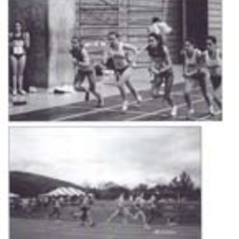 http://yearbook.sfc.edu/omeka/files/1999/Thumbnails/JPEG/YB1999_Part54.jpg