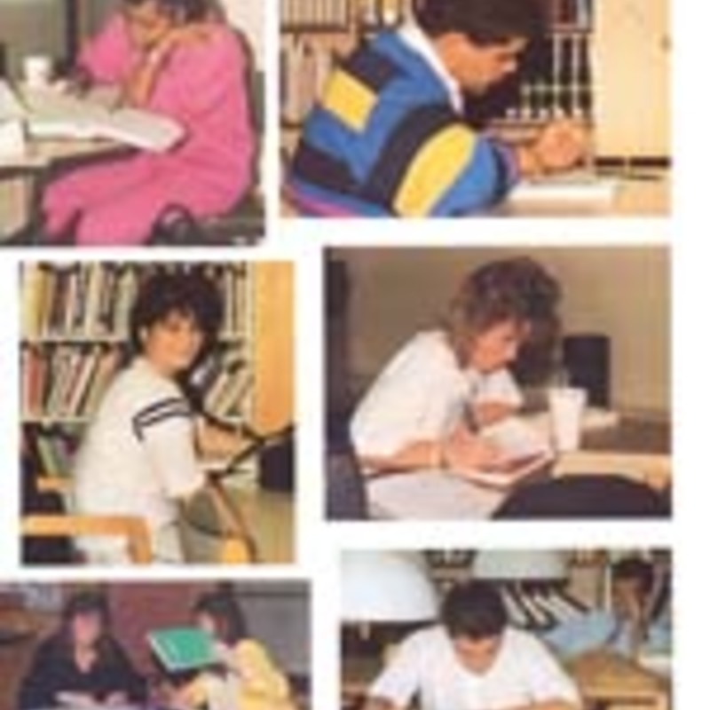 http://yearbook.sfc.edu/omeka/files/1989/Thumbnails/JPEG/YB1989_Part17.jpg