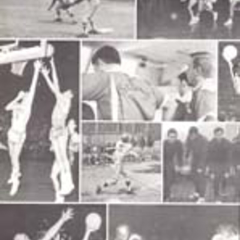 http://yearbook.sfc.edu/omeka/files/1968/Thumbnails/JPEG/YB1968_Part85.jpg