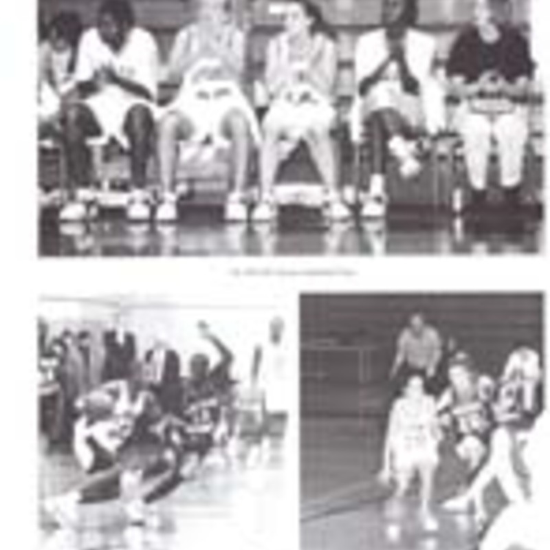 http://yearbook.sfc.edu/omeka/files/1997/Thumbnails/JPEG/YB1997_Part70.jpg