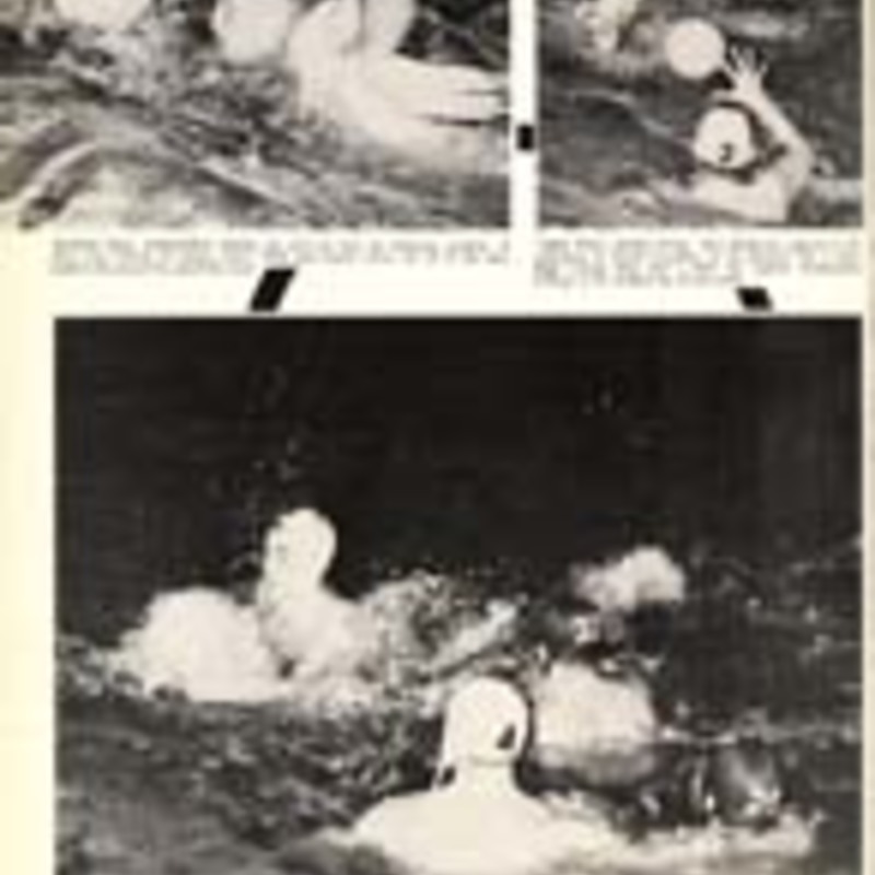 http://yearbook.sfc.edu/omeka/files/1961/Thumbnails/JPEG/YB1961_Part90.jpg