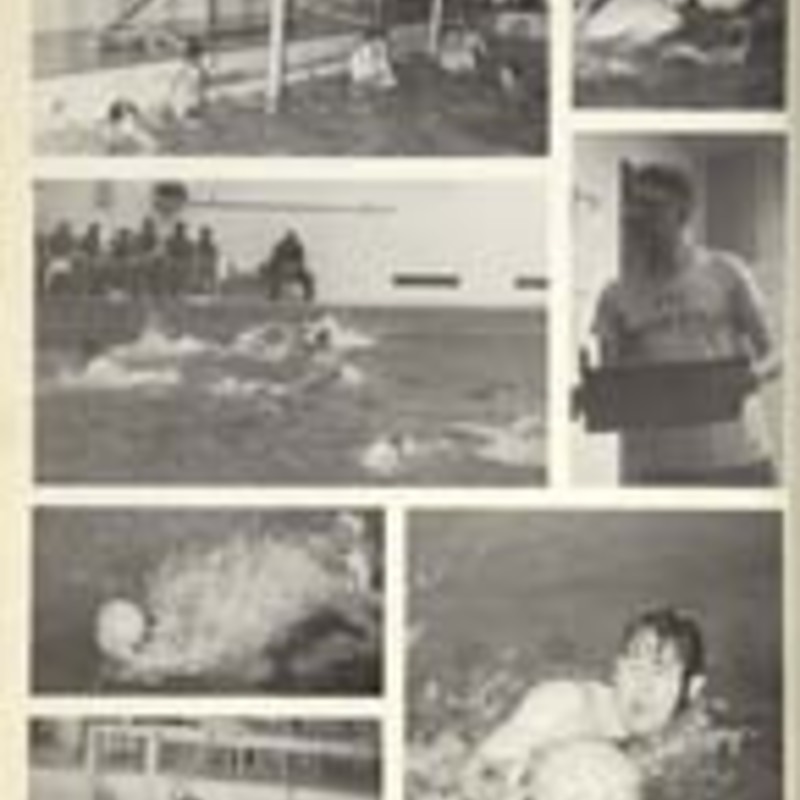 http://yearbook.sfc.edu/omeka/files/1969/Thumbnails/JPEG/YB1969_Part86.jpg