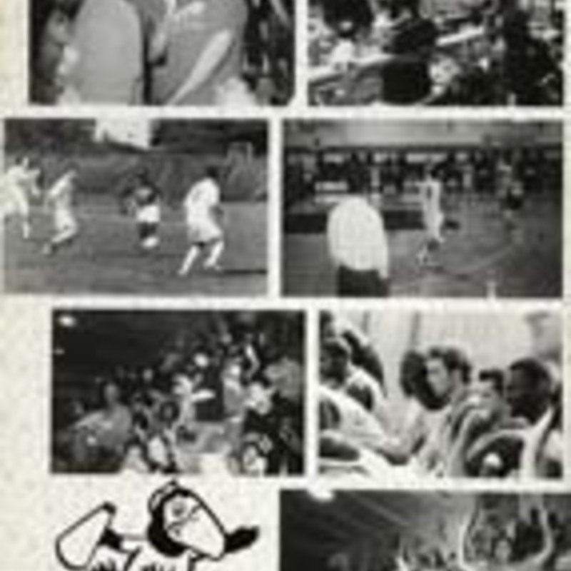 http://yearbook.sfc.edu/omeka/files/2003/Thumbnails/JPEG/YB2003_Part40.jpg