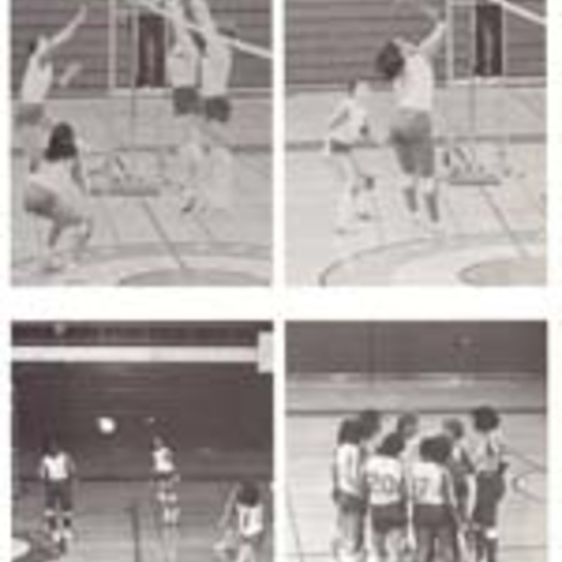 http://yearbook.sfc.edu/omeka/files/1984/Thumbnails/JPEG/YB1984_Part58.jpg